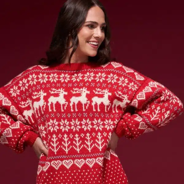 West Yorkshire Spinners ColourLab DK - Festive Family Collection