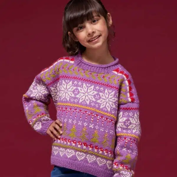 West Yorkshire Spinners ColourLab DK - Festive Family Collection