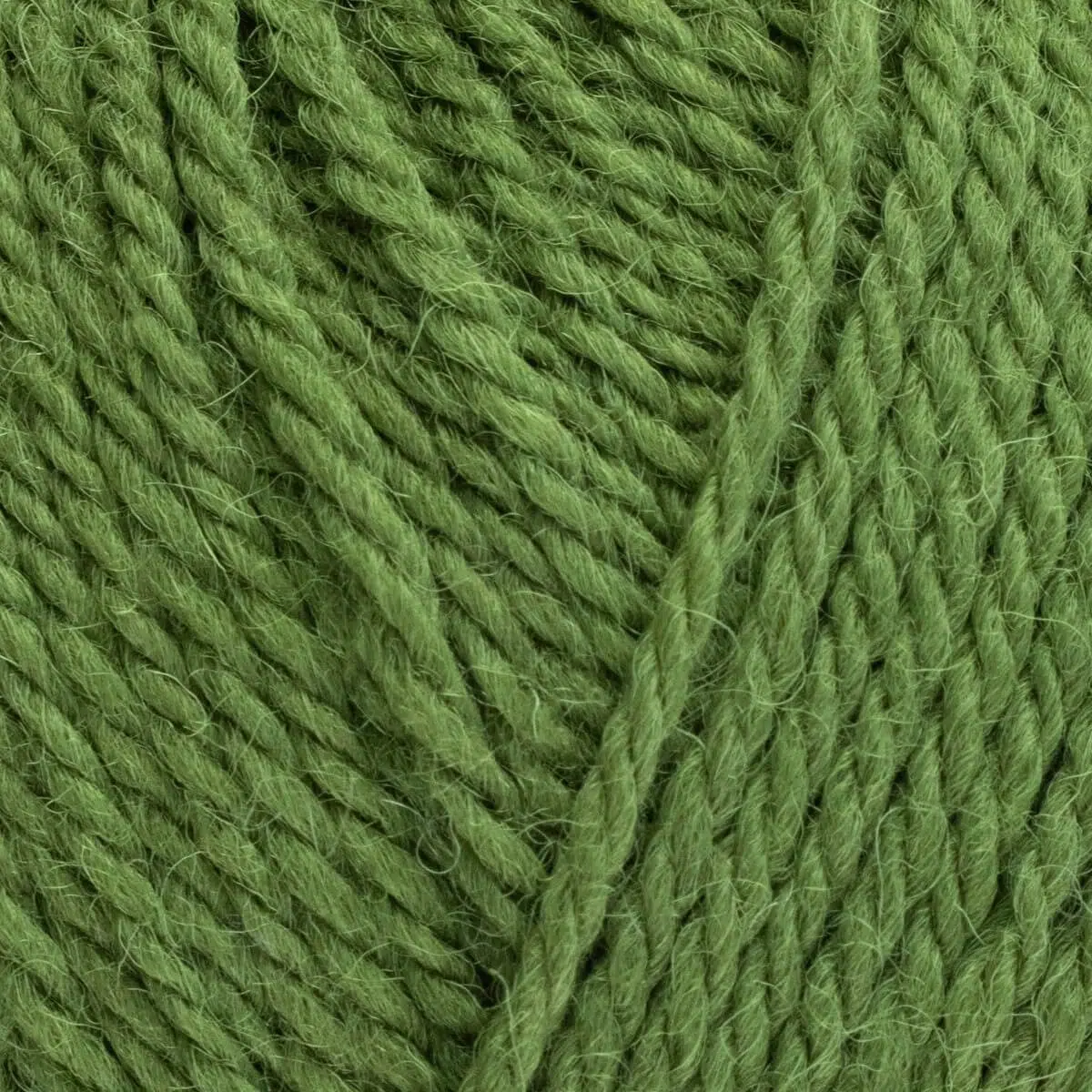West Yorkshire Spinners - ColourLab Aran - 1177 Moss Green
