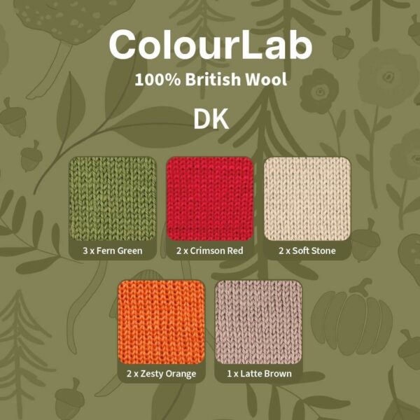 West Yorkshire Spinners - Forager Blanket Knit Along Bundle